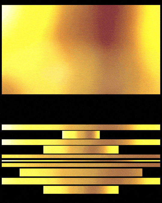 FSU-Lineup-Vertical-Showcase_optimized FSU-Lineup-Vertical-Showcase_optimized